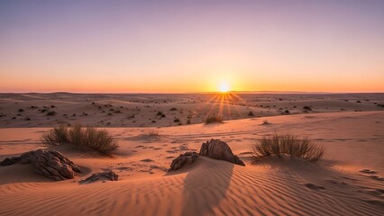 Sunset in the Desert Dunes with Rocks and Bushes