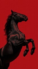 A black horse is rearing up on its hind legs with a majestic red background. Graceful and powerful.