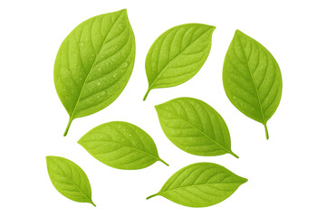 Naklejka premium Fresh green leaves with water drops on them, design element for nature concepts, transparent background