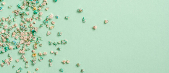 Decoration with gypsophila flowers with copy space on light green background, flat lay