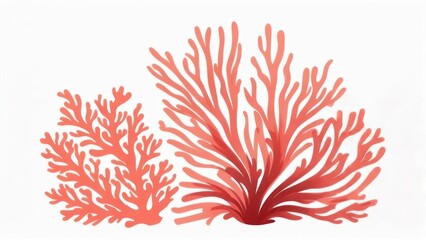 Two coral reef illustrations, with detailed branches in a warm red hue, against a white backdrop