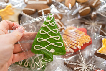 Assorted Decorated Christmas Cookies in Festive Packaging
