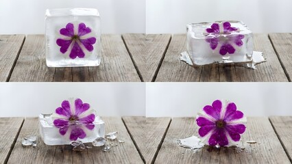 Decorative Purple Flower Arrangement on White Base.