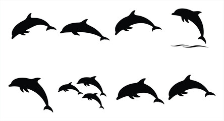 silhouette of a collection of black dolphin silhouettes © owen