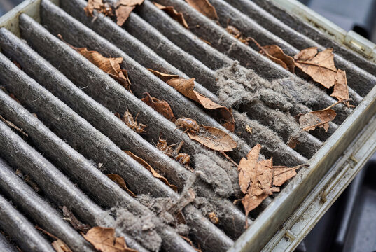Extremely dirty cabin air filter full of dead bugs and leaves. Hygiene macro texture