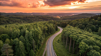 Top view road in beautiful green forest at sunset, Road in the middle of the forest , trees with green leaves