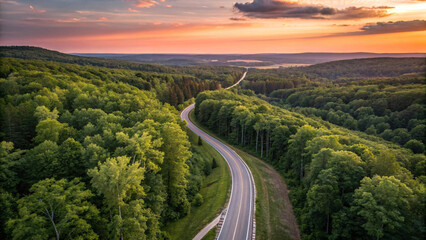 Obraz premium Top view road in beautiful green forest at sunset, Road in the middle of the forest , trees with green leaves