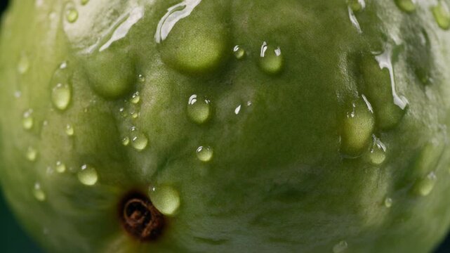 Close-up of a ripe green fruit covered in clear water droplets, highlighting its texture and freshness