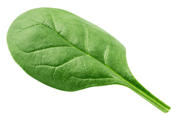 Spinach isolated, full depth of field