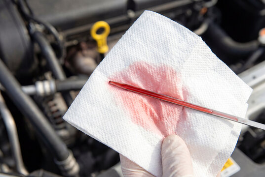 Mechanic checking condition of red transmission fluid on paper towel. ATF quality inspection
