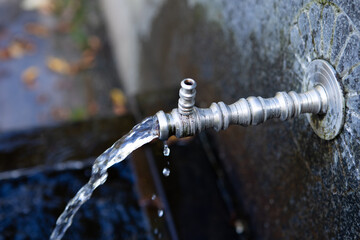 faucet in the forest