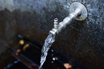 faucet in the forest