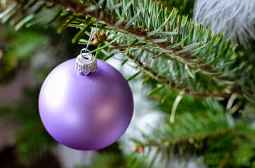 "Festive Christmas background featuring a purple glass ornament on a green tree branch, surrounded by holiday decorations. Perfect for seasonal greetings, winter holidays, and festive design projects.