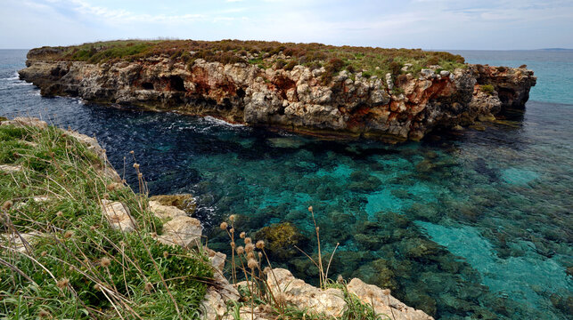 Escull de Binicodrell - Lebensraum der Baleareneidechse // habitat of the Lilford's wall lizard (Podarcis lilfordi codrellensis) - Menorca, Spanien