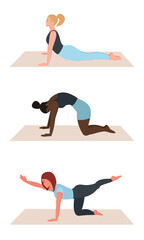 Женщины, занимающиеся пилатесом на коврике. Спорт и тренировки.