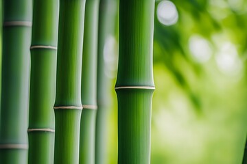 Obraz premium Detailed close-up of vibrant green bamboo stems against a soft out-of-focus background, conveying calmness and organic beauty while leaving room for text placement.