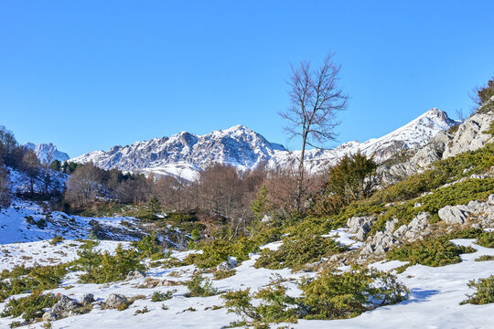 GRAN SASSO d'Italia e il Voltigno: lo Shangri La d'Abruzzo!