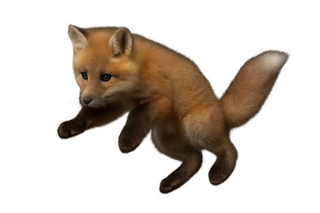 Naklejka premium Adorable fox cub portrait with transparent background for your designs.