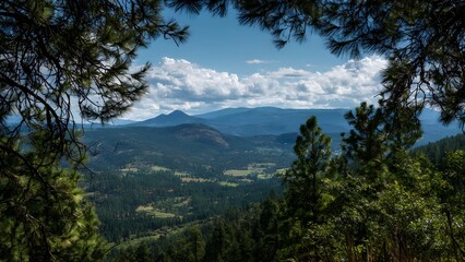 Fototapeta premium Serene wilderness view: expansive mountain scenery enveloped by thick coniferous woods