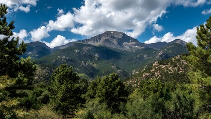 Serene wilderness view: expansive mountain scenery enveloped by thick coniferous woods