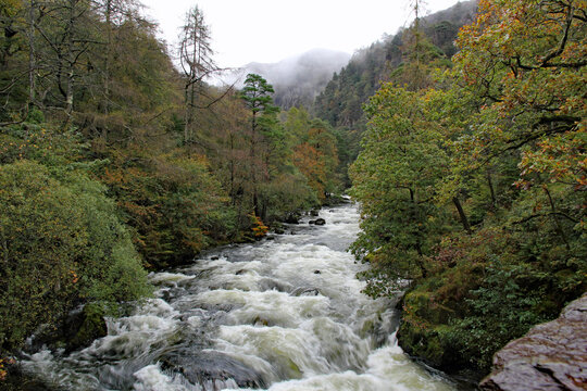 The Afon Glaslyn river in Snowdonia Mountain Range near to Beddgelert, North Wales, in full flow on a wet, windy, and wild Autumn day with pouring rain and low visibility