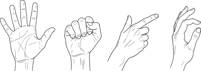 Hand gesture illustrations set, open palm fist pointing finger okay sign, human hands poses, communication symbols, line art vector collection