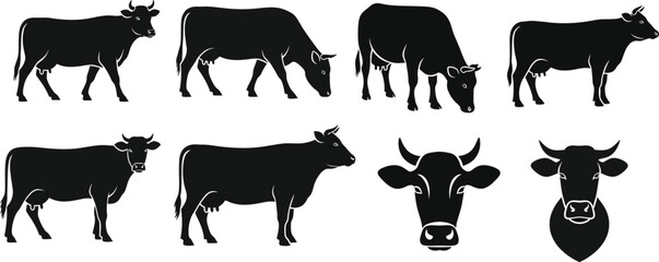  Cows black silhouettes set. different poses cattle animals collection. farm mammals standing