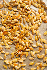 Roasted pumpkin seeds scattered on parchment paper background  