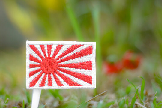 A Rising Sun flag patch rests in a green meadow, symbolizing solar energy, sustainability, and a new eco conscious future inspired by nature and innovation.