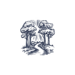 Fototapeta premium Peaceful and detailed vintage engraving style illustration of a serene forest landscape with tall, lush trees flanking a winding river or path, illuminated by radiating sunlight