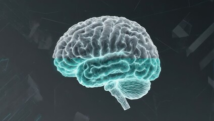 3D rendering of a human brain, highlighted with teal