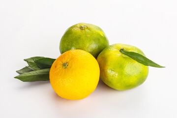 Fresh ripe sweet juicy mandarins