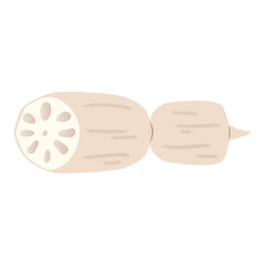 蓮根のイラスト　炭水化物の多い野菜