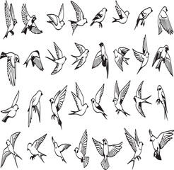 Diverse collection of stylized flying bird silhouettes and graceful line art illustrations showing various poses