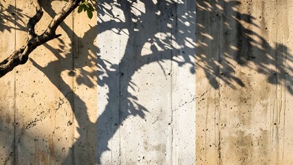 Shadows of Tree Branches on a Wall in Warm Light.