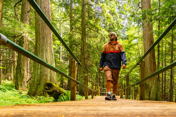 Tourist walking on hemlock grove boardwalk in canadian rockies national park