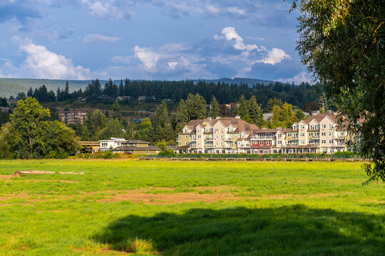 Fototapeta Green meadow framing waterfront residential buildings in salmon arm, british columbia
