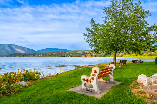 Bench overlooking shuswap lake in salmon arm, british columbia