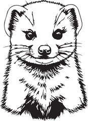 Black and white civet wild animal mammal illustration vector art outline pet