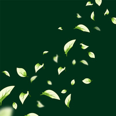 Vector illustration of light green leaves with soft gradients and smooth outlines flying on a dark background.