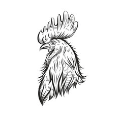 A line drawing of a rooster's head, in black lines on a white background.