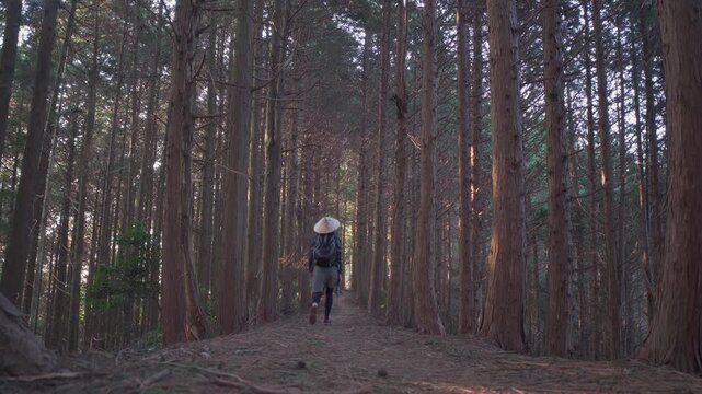 Girl Henro walks the route of 88 temples on Shikoku Island through the forest