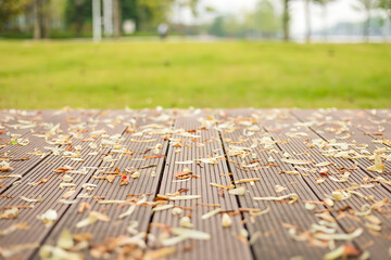 Autumn leaves scattered on wooden deck in park