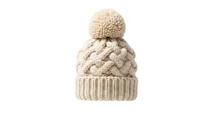 Close up of an isolated, sweet, fresh chocolate dessert and dried brown mushrooms, lychee fruit, and red tropical litchi ingredient