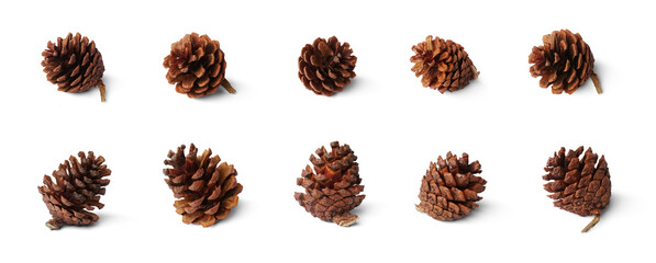 Set of brown pine cones PNG no background