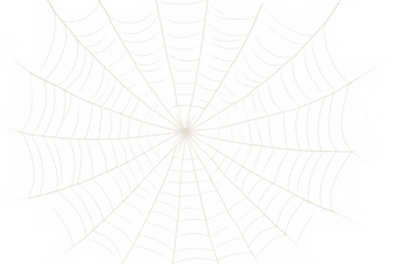 Spider web or cobweb with central light glow on transparent background creating halloween or abstract design