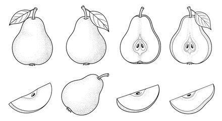 A vintage-style set of hand-drawn pears in whole, half, and slice forms, illustrated with detailed dotwork and line art.