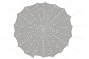 Spiderweb vector design creating a intricate, radial pattern, perfect for spooky halloween themes or digital concepts