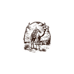 Vintage camel in the desert with saddle and tents in hand-drawn woodcut engraving style isolated on white background