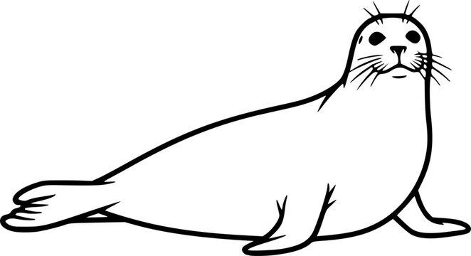harbor seal line art silhouette vector illustration
